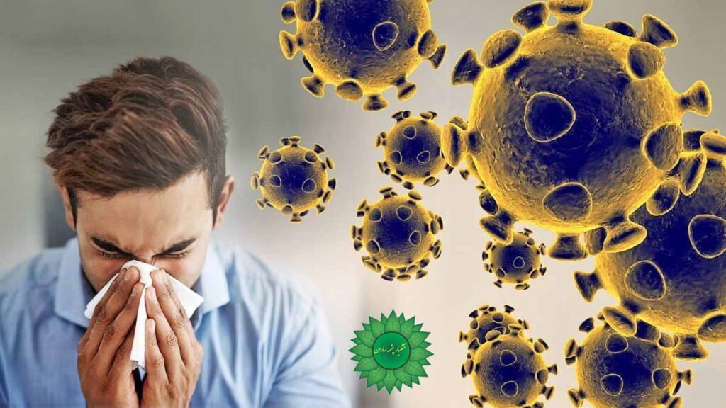 چهارتخمه برای سرفه‌های خشک، گلودرد، و خلط‌آور