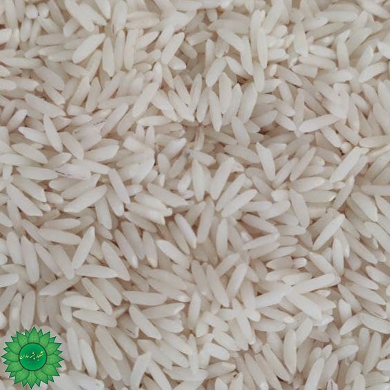 برنج هاشمی معطر محصولی از شالیزار های شمال