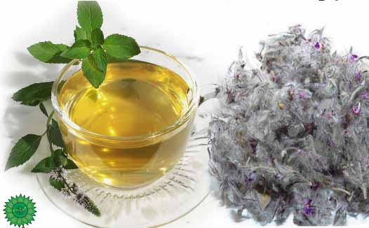 چای کوهی سرشار از آنتی‌اکسیدان‌ها و ویتامین C