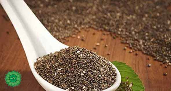 دانه چیا حاوی مواد معدنی کلسیم، منیزیم و فیبر و پروتئین