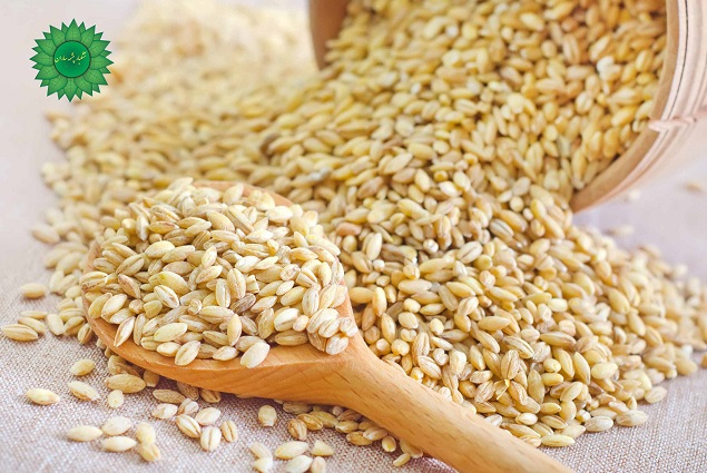 گندم پوست کنده سرشار از فیبر و آهن
