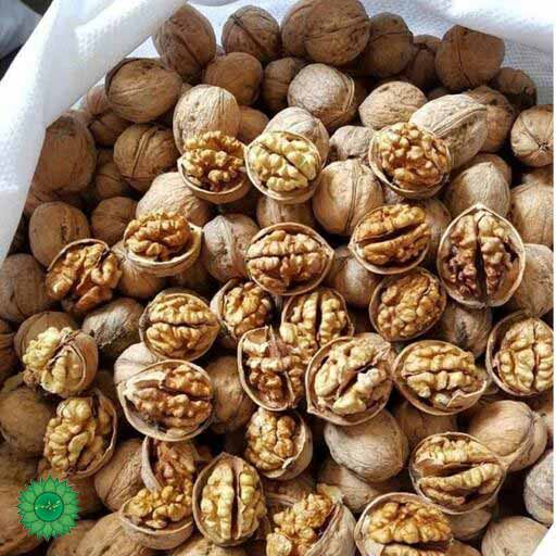 گردو خوانسار چرب و خوشمزه سرشار از امگا3