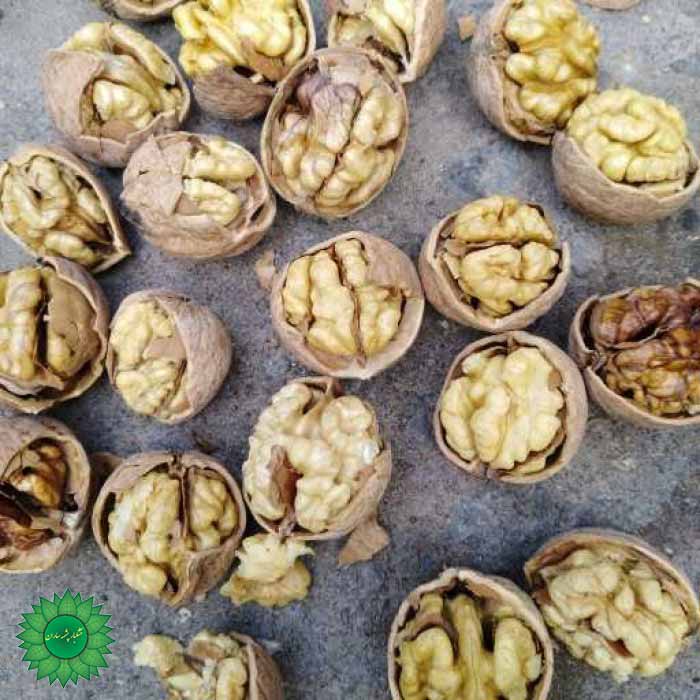 مغز گردو اعلا چرب و خوشمزه سرشار از امگا3