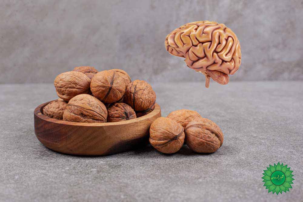 مغز گردو اعلا چرب و خوشمزه سرشار از امگا3