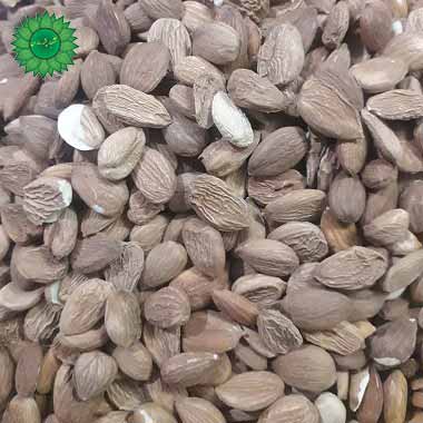 هسته زردالو سرشار از خواص بادام با قیمت مناسب