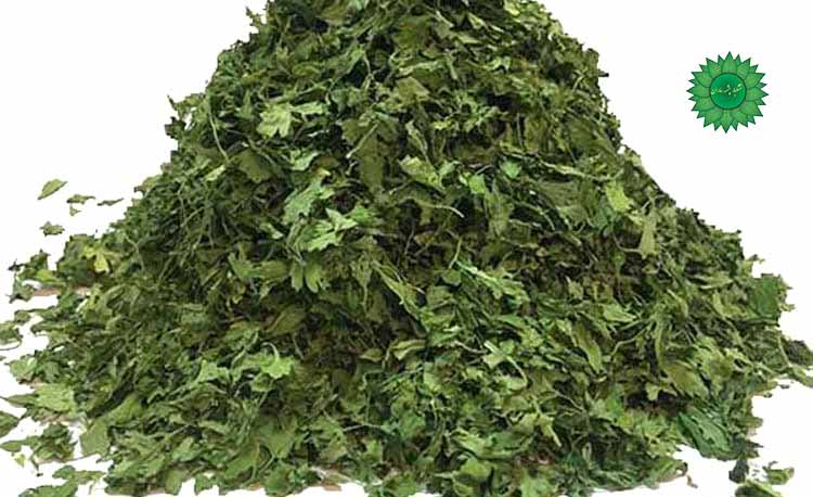 جعفری خشک مخصوص آش و سوپ سرشار از آهن