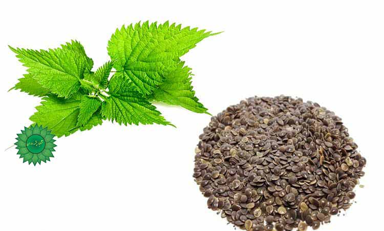 انجاره برای کنترل قند خون و تقویت استخوانها