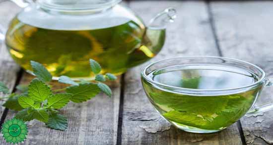 پونه برگ معطر و مفید برای سردرد