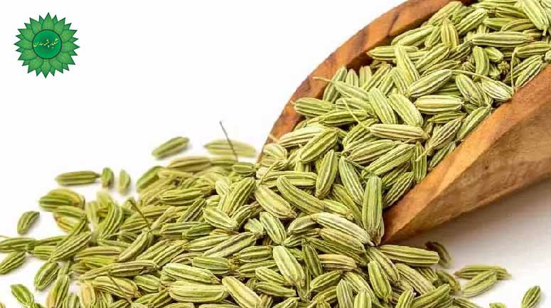 رازیانه سکین دهنده علائم قاعدگی مانند درد و نفخ