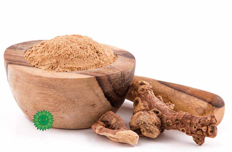 ریشه جوز مفید در رفع سردی مزاجی