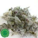 چای کوهی سرشار از آنتی‌اکسیدان‌ها و ویتامین C