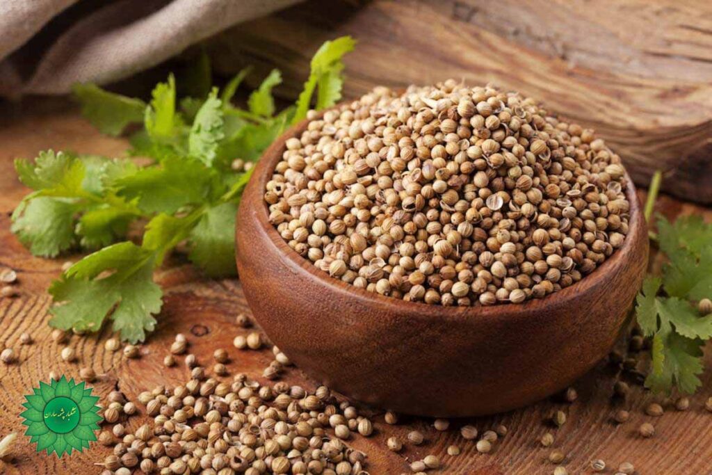 تخم گشنیز برای کنترل سطح قند خون