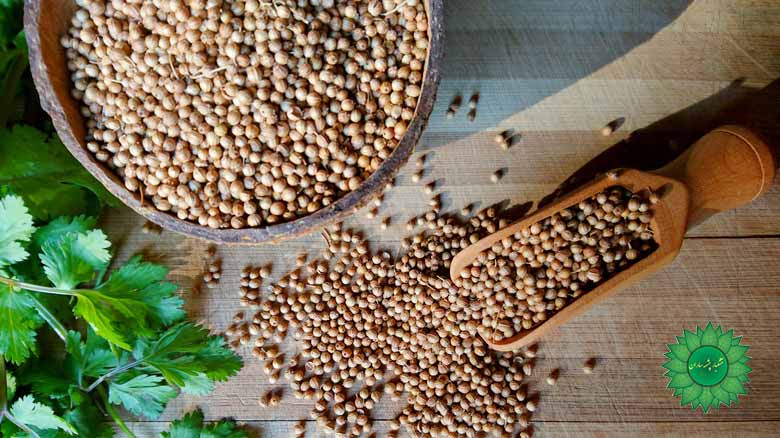 تخم گشنیز برای کنترل سطح قند خون