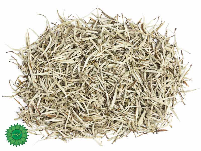 چای سفید موجب بهبود عملکرد دستگاه گوارش