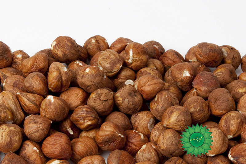 خرید فندق و قیمت فندق و خواص فندق