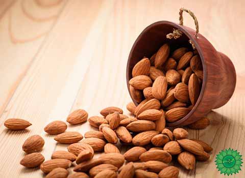 خرید بادام و قیمت بادام و خواص بادام 
