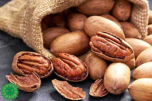 خرید گردو و قیمت گردو و خواص گردو