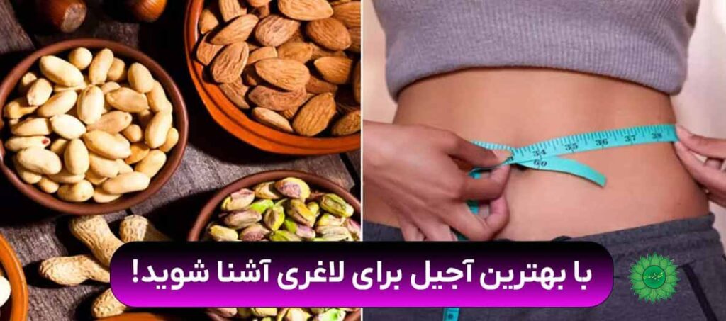 آجیل رژیمی کم کالری سرشار از فیبر و پروتئین