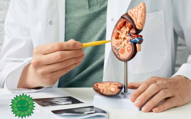 سنگ کلیه و درمان سنگ کلیه به گیاه بسر