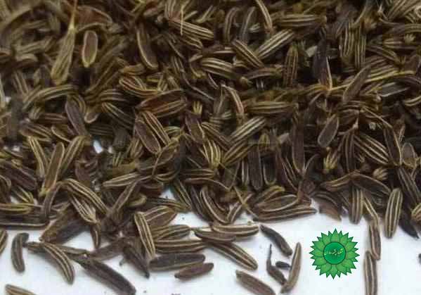 چهار زیره دمنوشی ضدنفخ و تقویت کننده گوارش