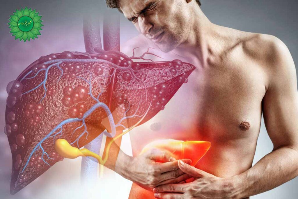 عناب درشت مفید در کاهش فشار و غلظت خون