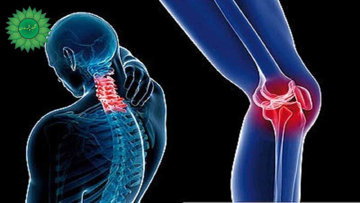 آرتروز و درمانهای طبیعی آن با سنجد و زنجبیل