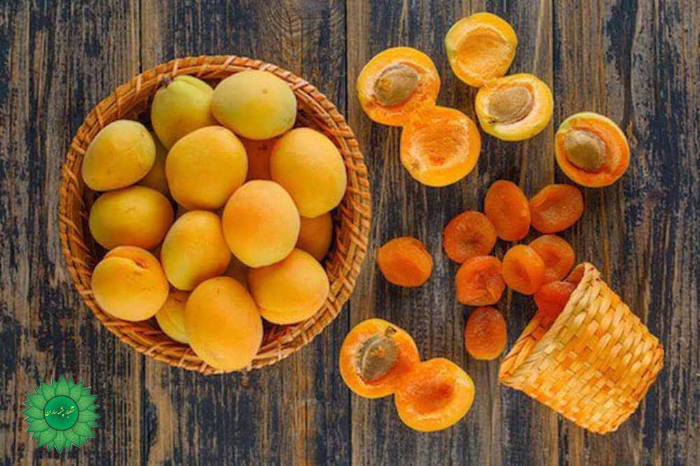 برگه زردآلو یک نیروگاه تغذیه‌ای